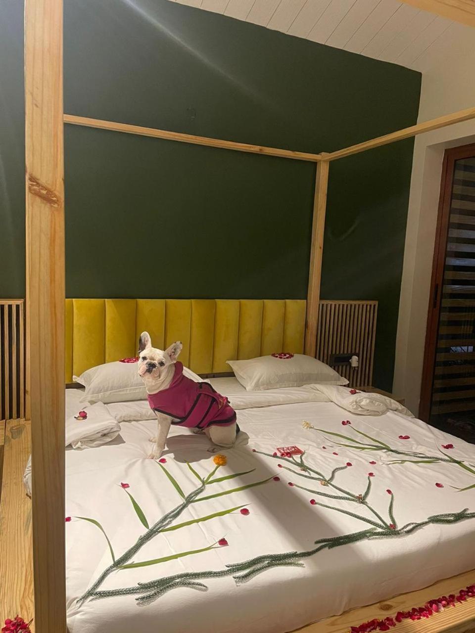 Rawai Luxury Tents Пушкар Екстер'єр фото